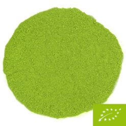 Matcha Asatsuyu Kirishima 2025